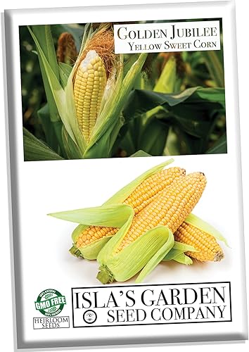 Golden Jubilee - Semillas de maíz dulces amarillas para plantar, más de 30 por paquete, semillas de jardín de Isla, sin OMG y reliquia, nombre