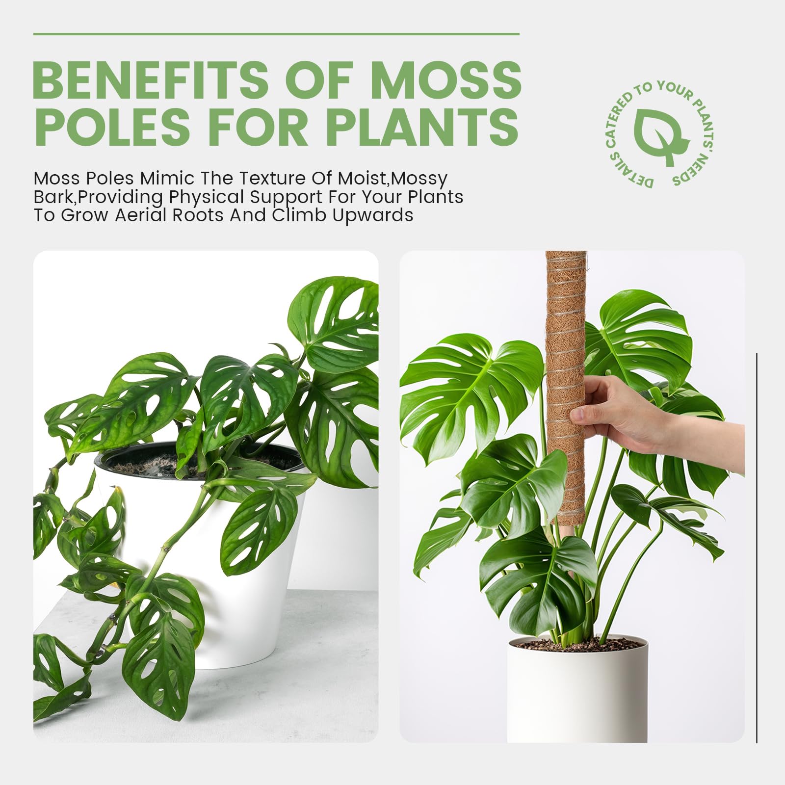 Yinder Monstera-Pflanzenstütze mit 10 x 2 m Juteseil und 2 x 2 m Gartenband, Pflanzstäbe für Zimmerpflanzen, Kletterpflanzen, Totemstange, 41,5 cm, 50 Stück