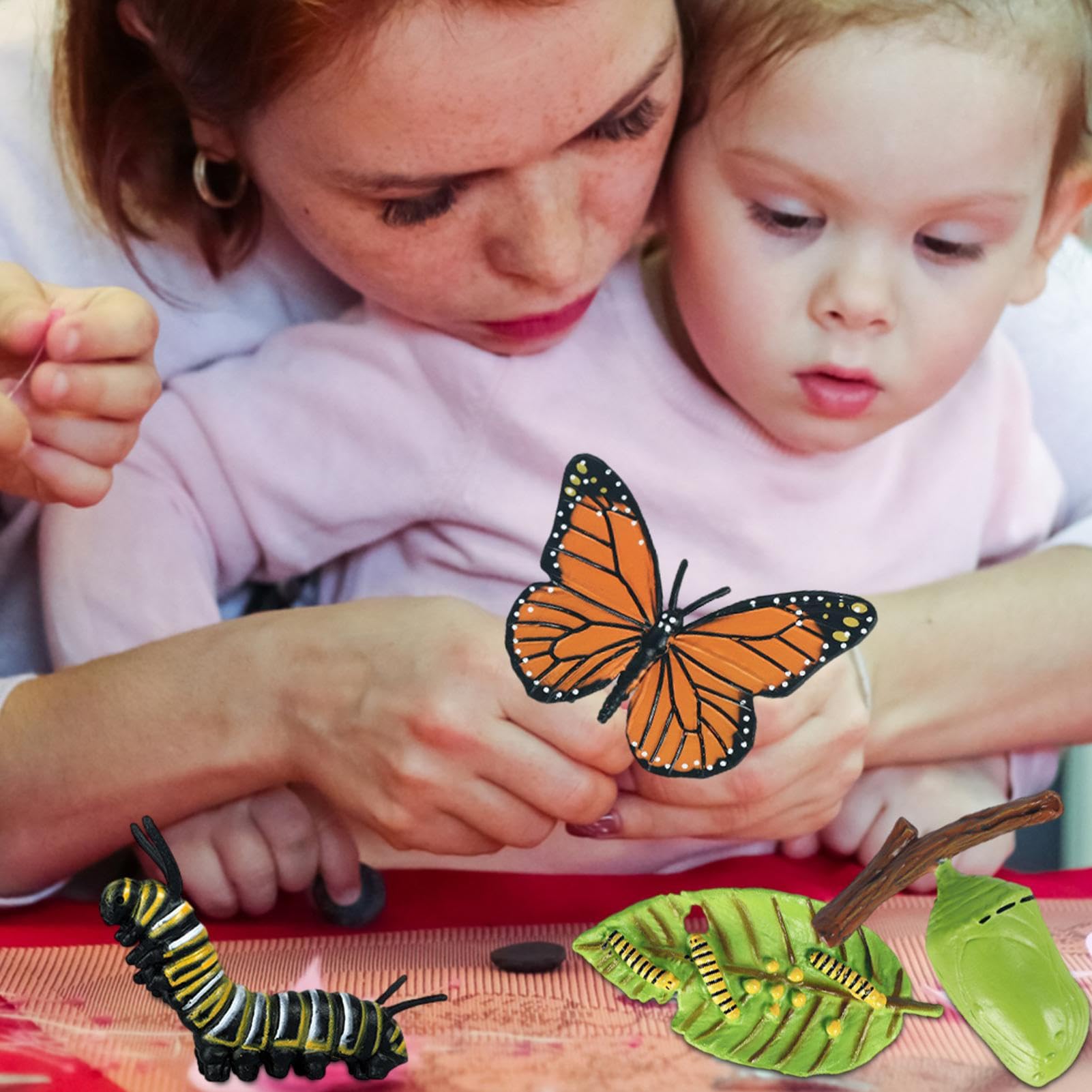 Insectss Life Cycle Figurines - Educational Biological Growth Stages, Realistic Hand-Painted Learning Models, Durable Odourlesss PP Plasticss Build, 4 to 5 Piece Development Sets - for Kids 3 Years — view 5