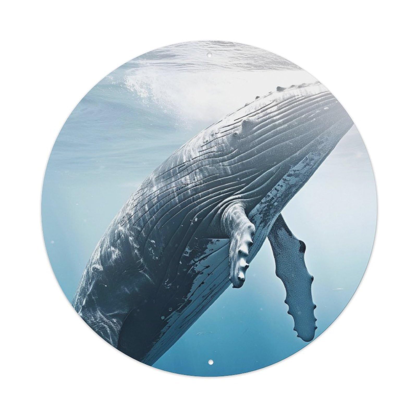 Great Fin Whale in The Ocean Animal Metal Tin Sign