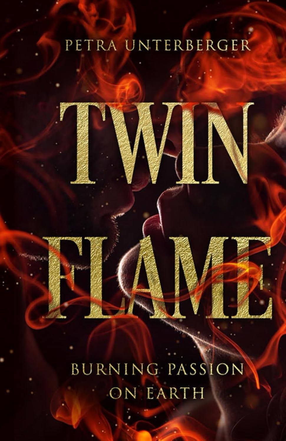 Twin Flame: Burning Passion on Earth: 14 (Dual Souls Passion)