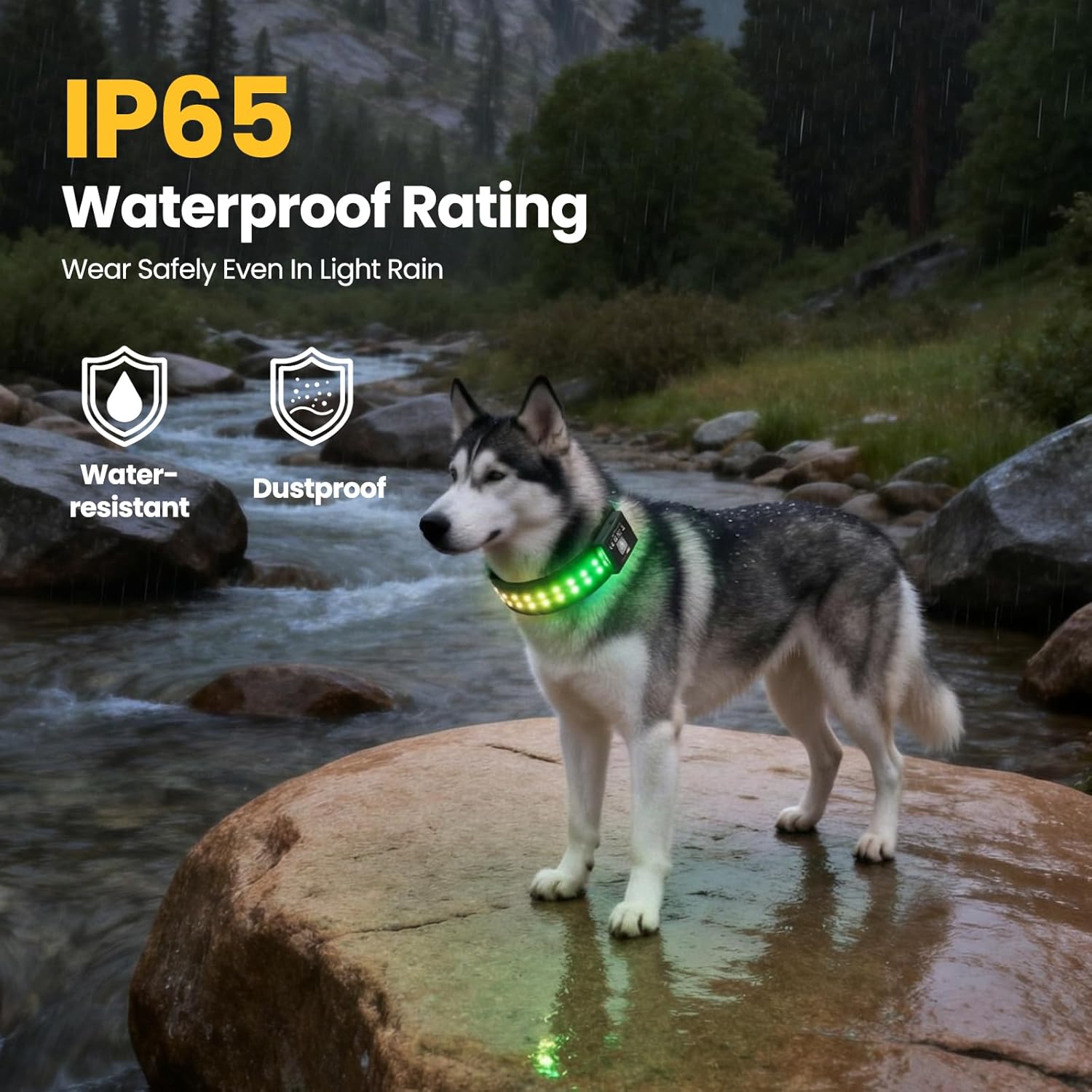 Customizable LED Dog Collar: 20+ Modes & Adjustable Brightness, App Controlled Light Up Dog Collar for Night Safety, Music Sync, IP65 Waterproof, Fits Small, Medium, Large Dogs (Medium)