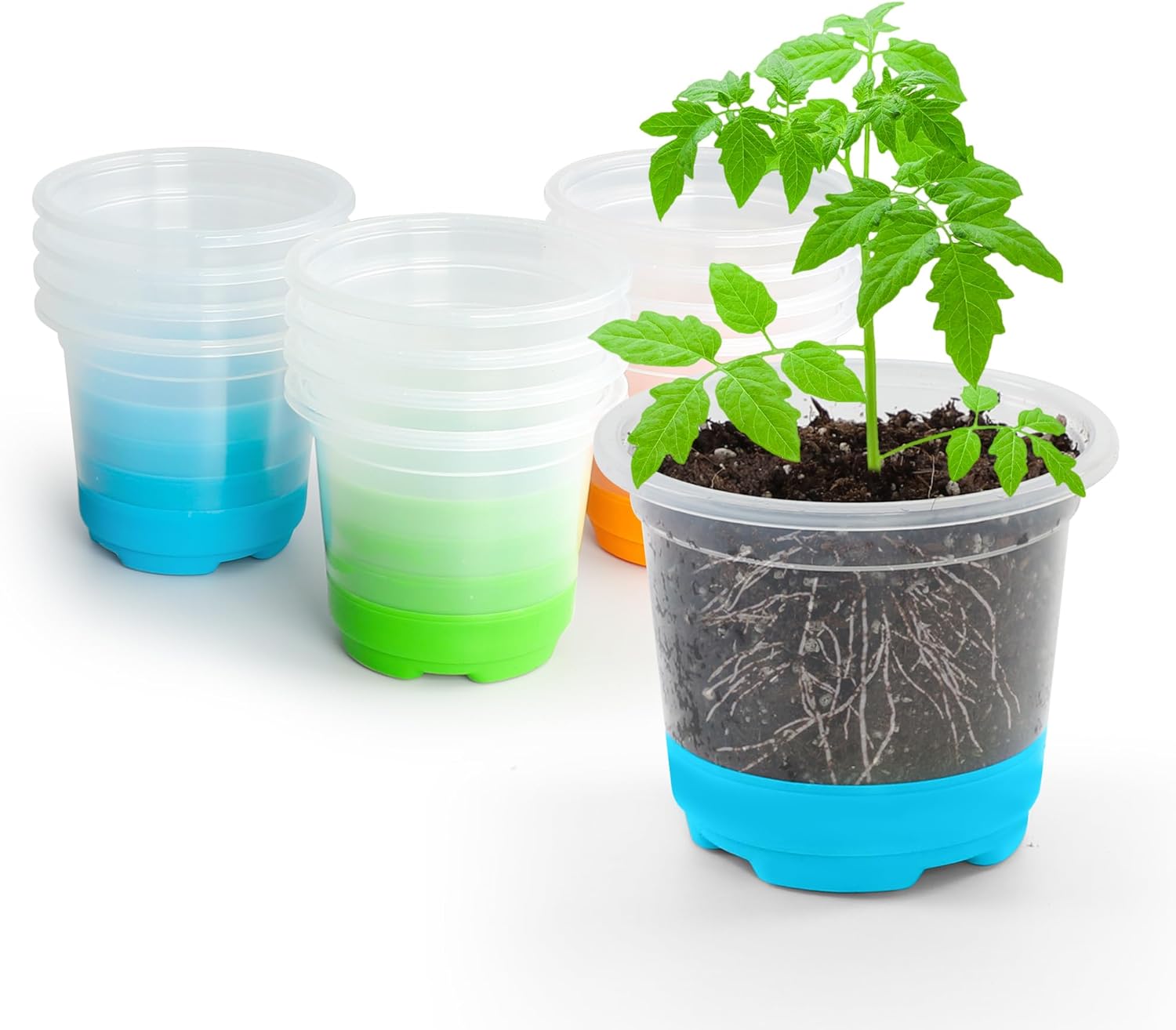 Bonviee 12 Packs 4 inch Reuseable Clear Nursery Pots with