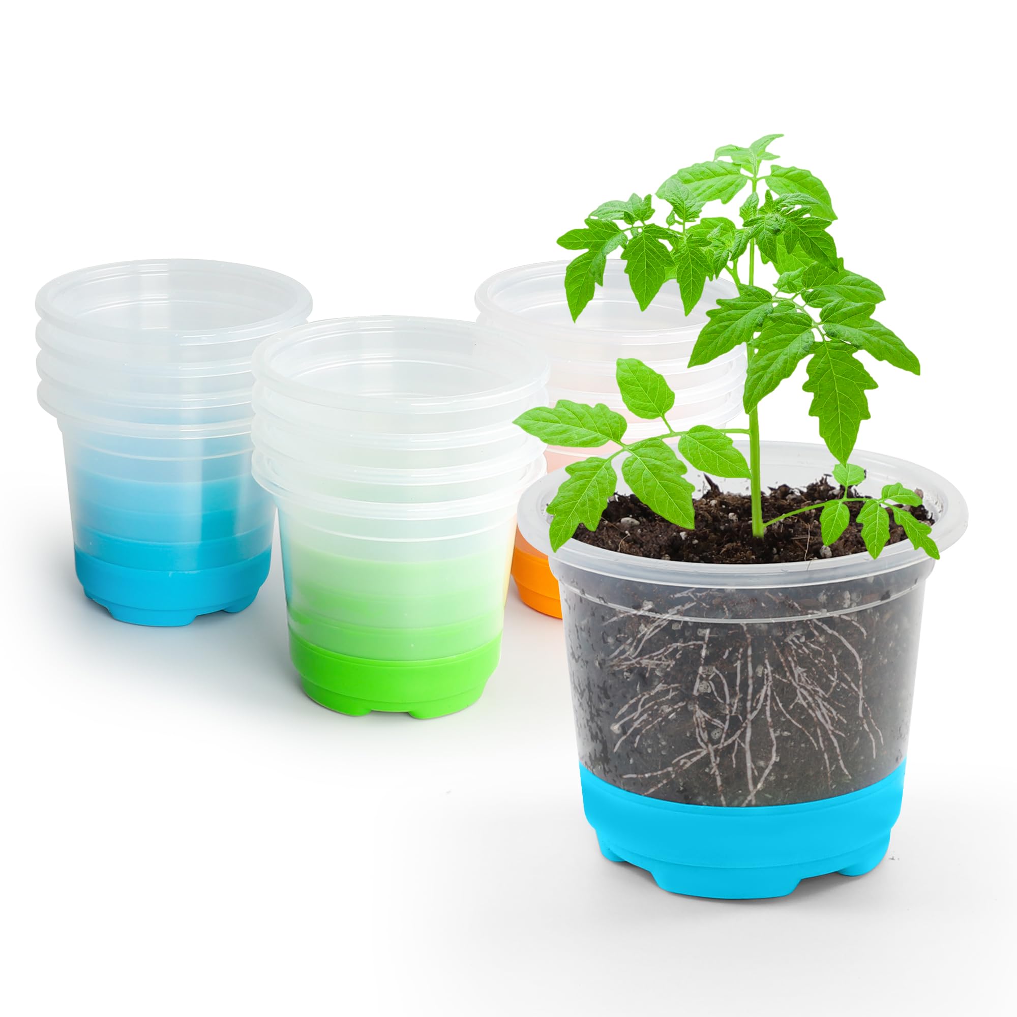 Bonviee12 Packs 4 inch Reuseable Clear Nursery Pots with Silicone Base for Easy Transplanting, Seedling Seed Starter Pots with Durable Plastic Materail for Seasons Germination-Multi Colors