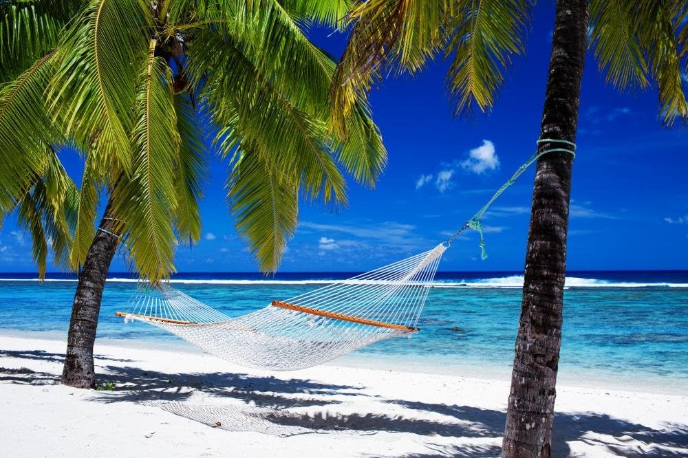 Wallmonkeys FOT-30945895-36 WM79960 Hammock Between Palm Trees on Tropical Beach Peel and Stick Wall Decals, 36" W x 24" H-Large