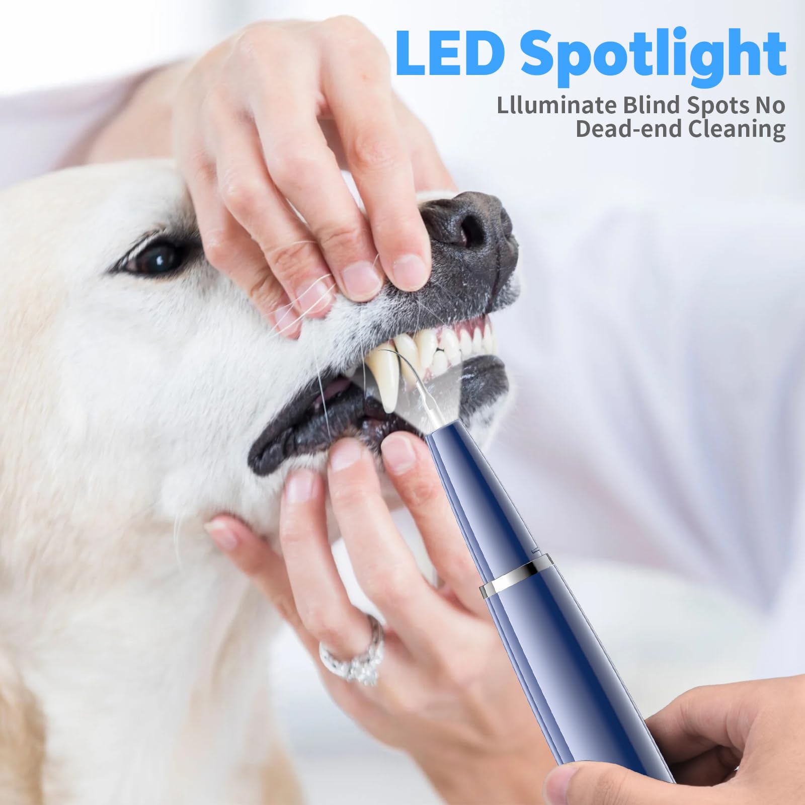 Cepillo Dientes Perro ultrasónico, 5 modos de limpieza Eliminador sarro de Limpieza de Dientes de Perro, Limpiador de dientes contra sarro, mal aliento y gingivitis, para humanos/perros/gatos