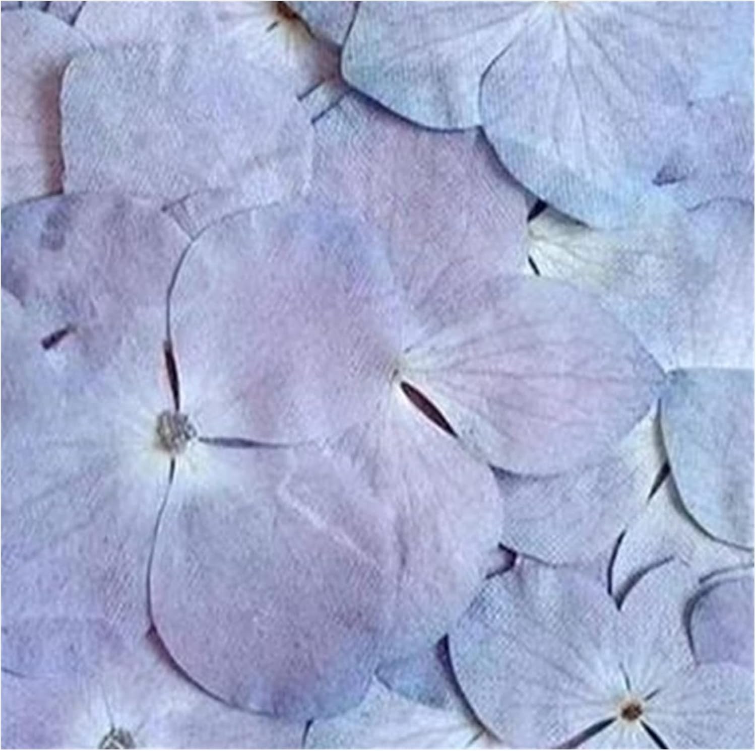 Miaomiao 宝石類のブックマークケーススクラップ紙のための1pcsの乾燥プレスの自然なピンク Service 紫のあじさいの花植物のherbariumフィット Diy おしゃれ