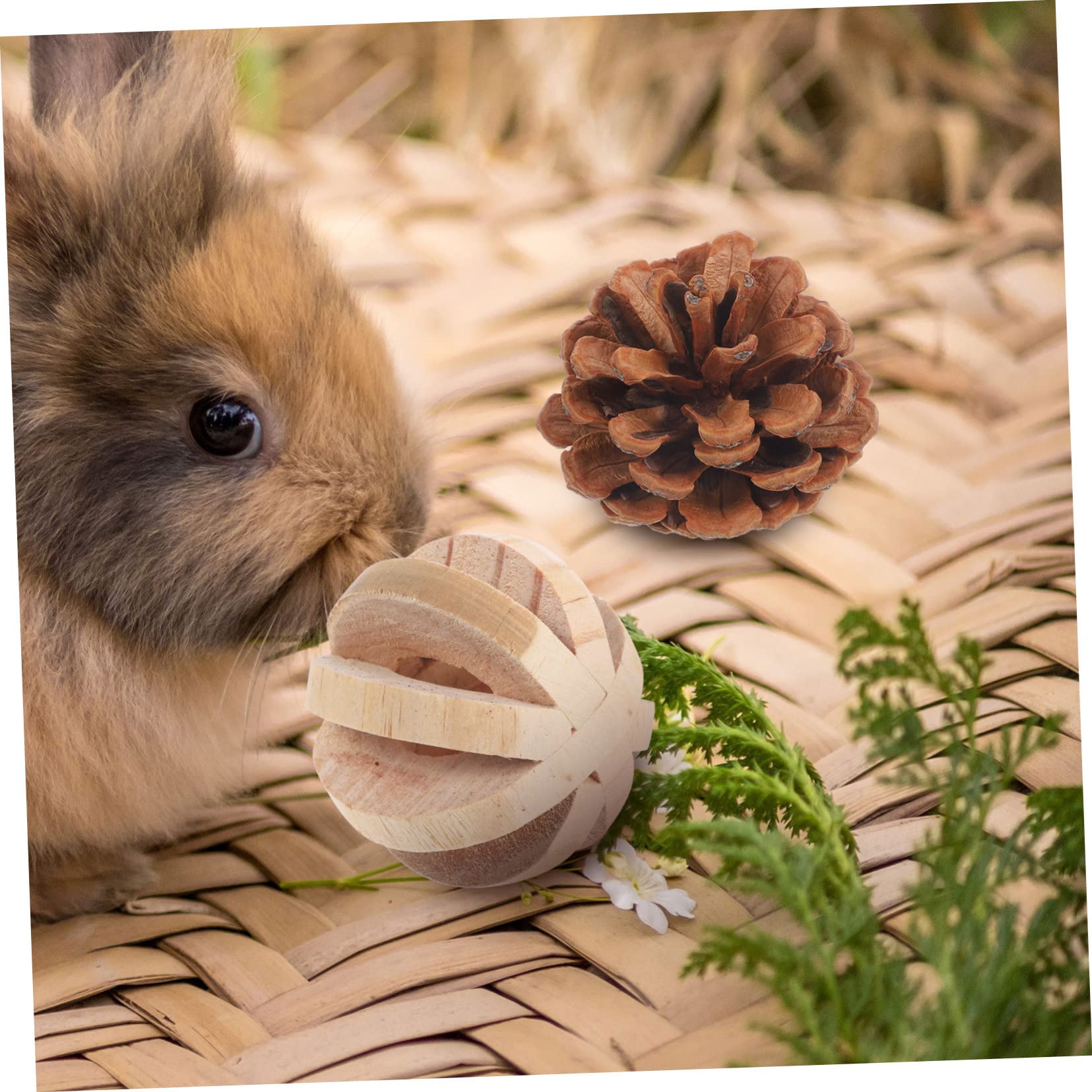 BESPORTBLE 15pezzi Giocattoli Masticabili Per Criceti e Conigli Naturale Accessorio Per Benessere e Divertimento Per Piccoli Animali