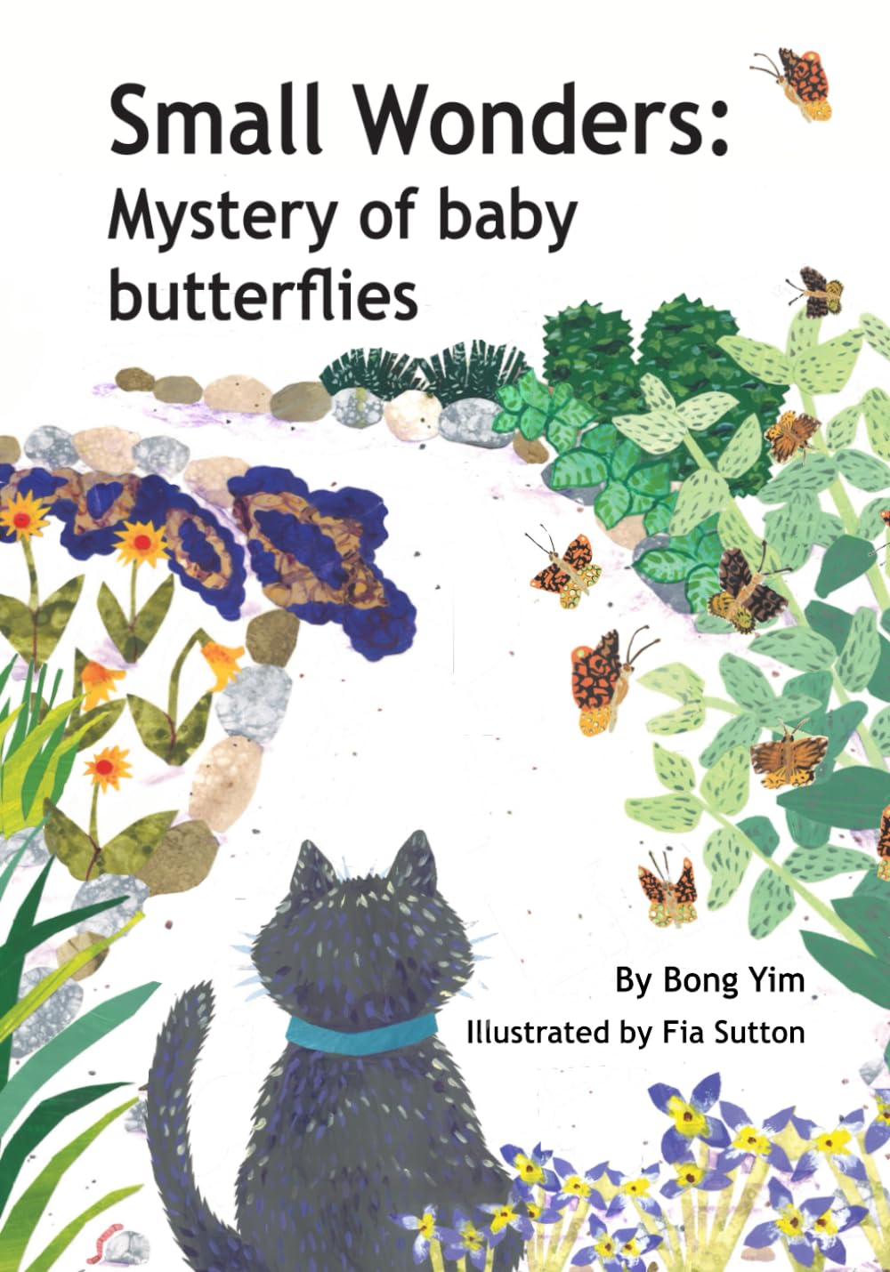 Small Wonders:: Mystery of Baby Butterflies