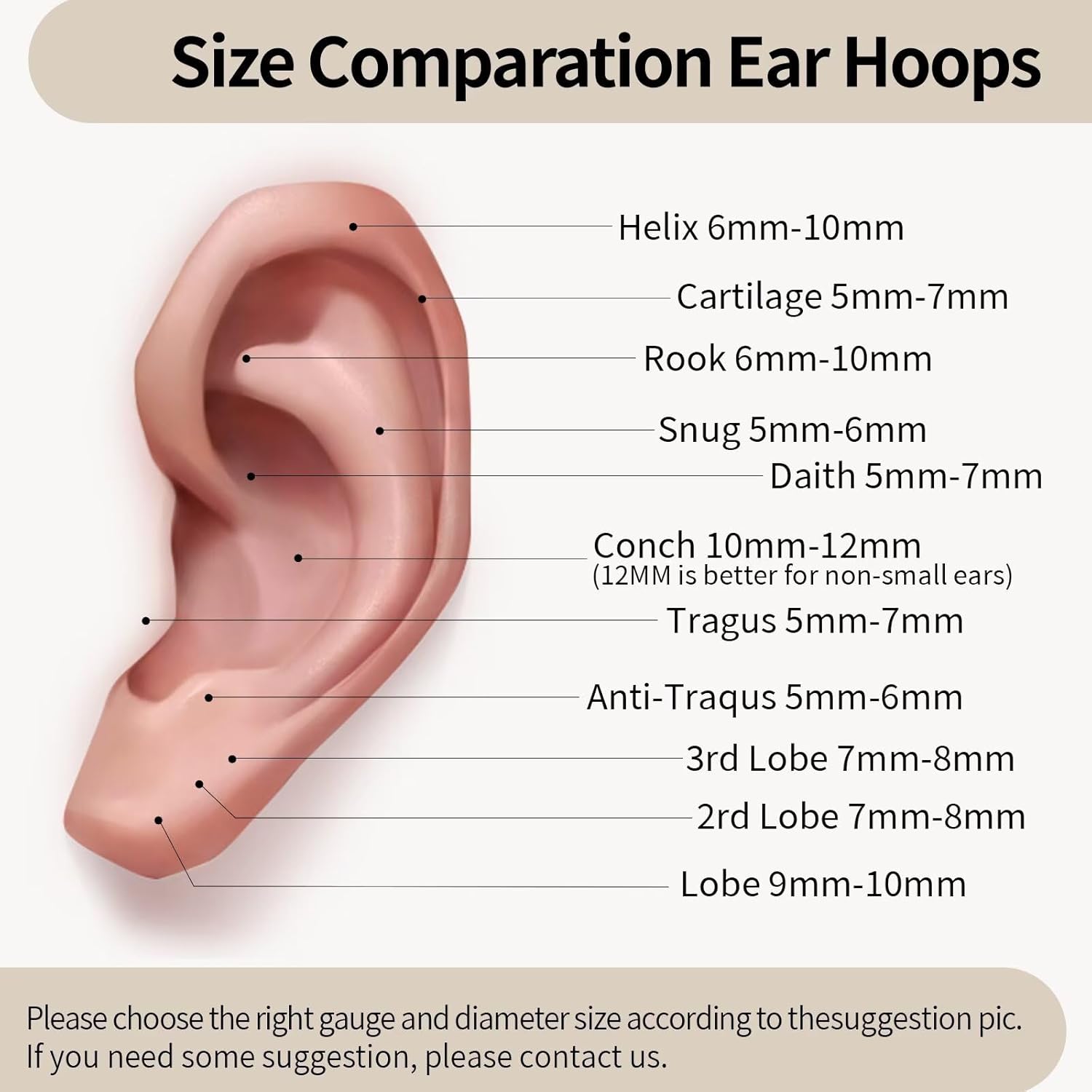 WYR Titanium Nose Rings Hoops: 2Pcs 20G 18G 16G Septum Clicker Cartilage Helix Daith Earring 6mm to 12mm Conch Piercing Jewelry Black Silver Gold - Image 5