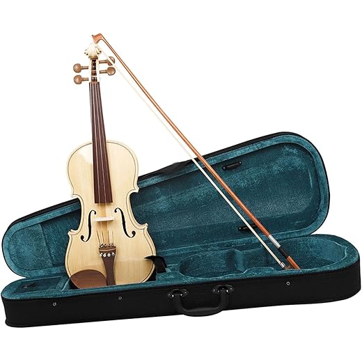 THE STYLE SUTRA 4/4 Violin Set Portable Beginner Violin Kits for Beginner Violin Lover Teens