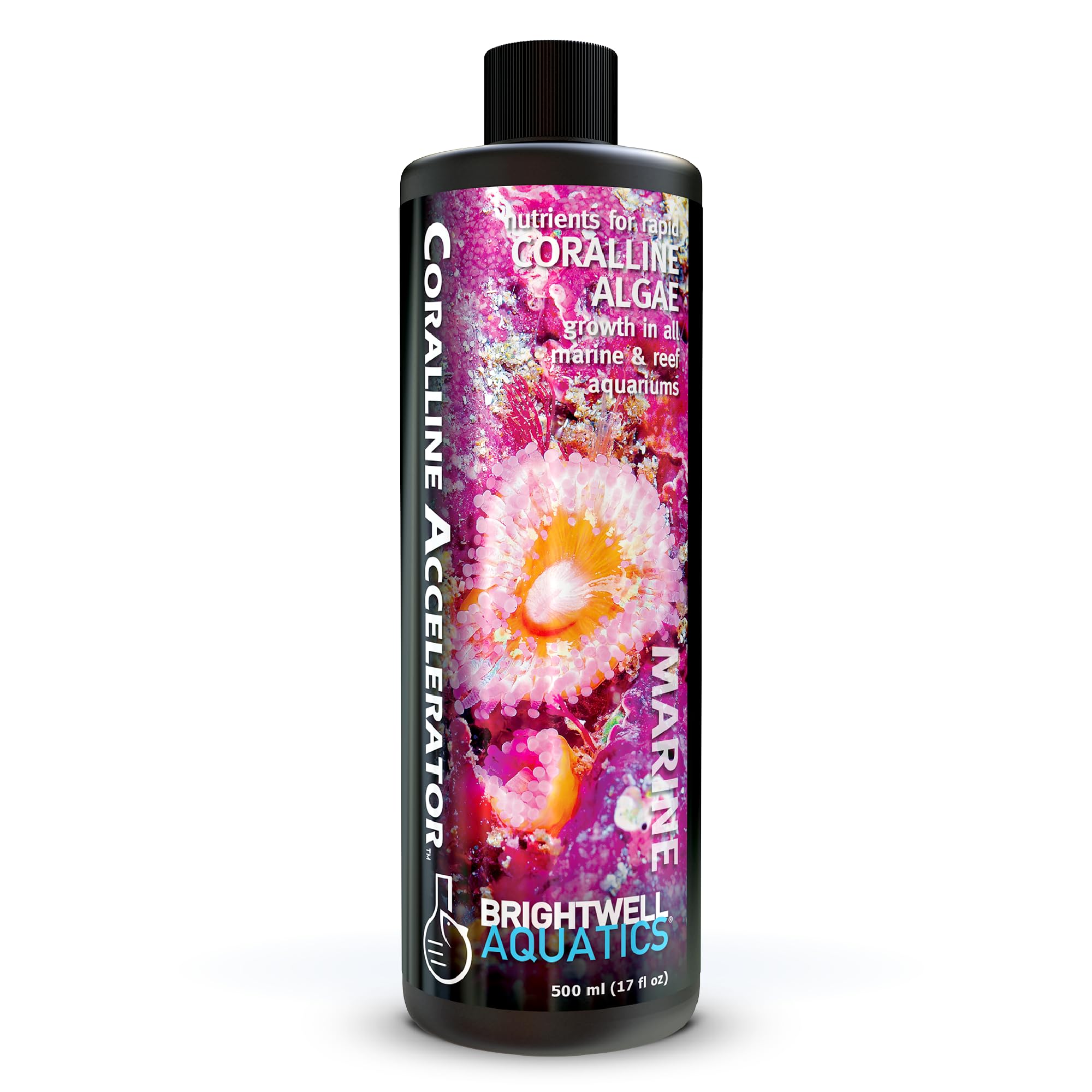 Brightwell Aquatics Coralline Accelerator Coralline Supplement, 500 ml