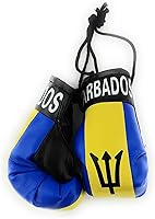 Vista 50 de Mini guantes de boxeo para espejo de coche, México