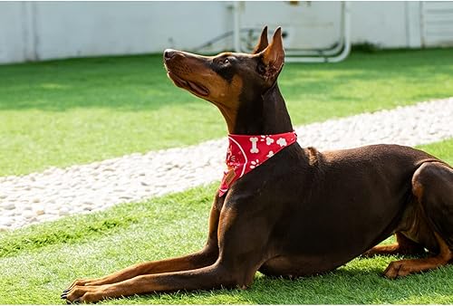 Miniatura 3 de Bandanas para perro niña, para cumpleaños, hermana mayor, bufanda de perro de doble capa, bufanda de tela para mascotas, duradera (nacimiento, XL)