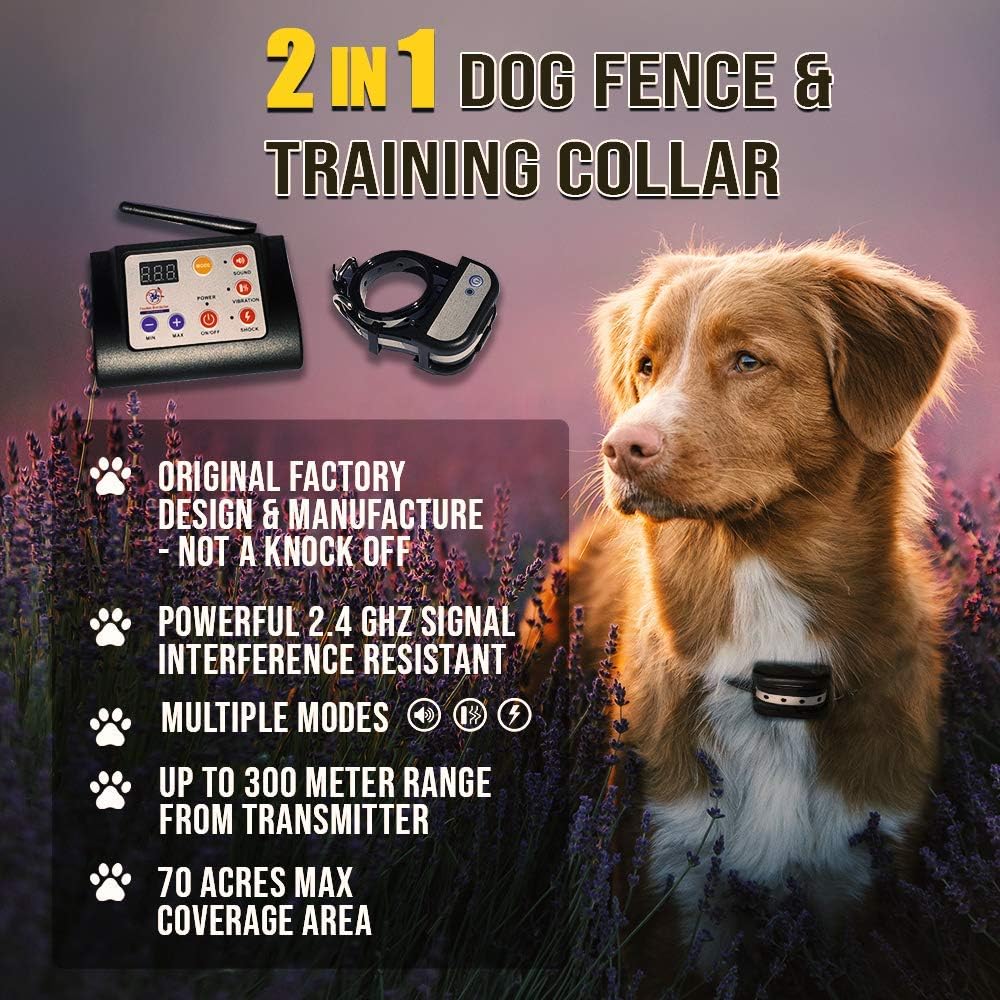 2 dog wireless dog fence
