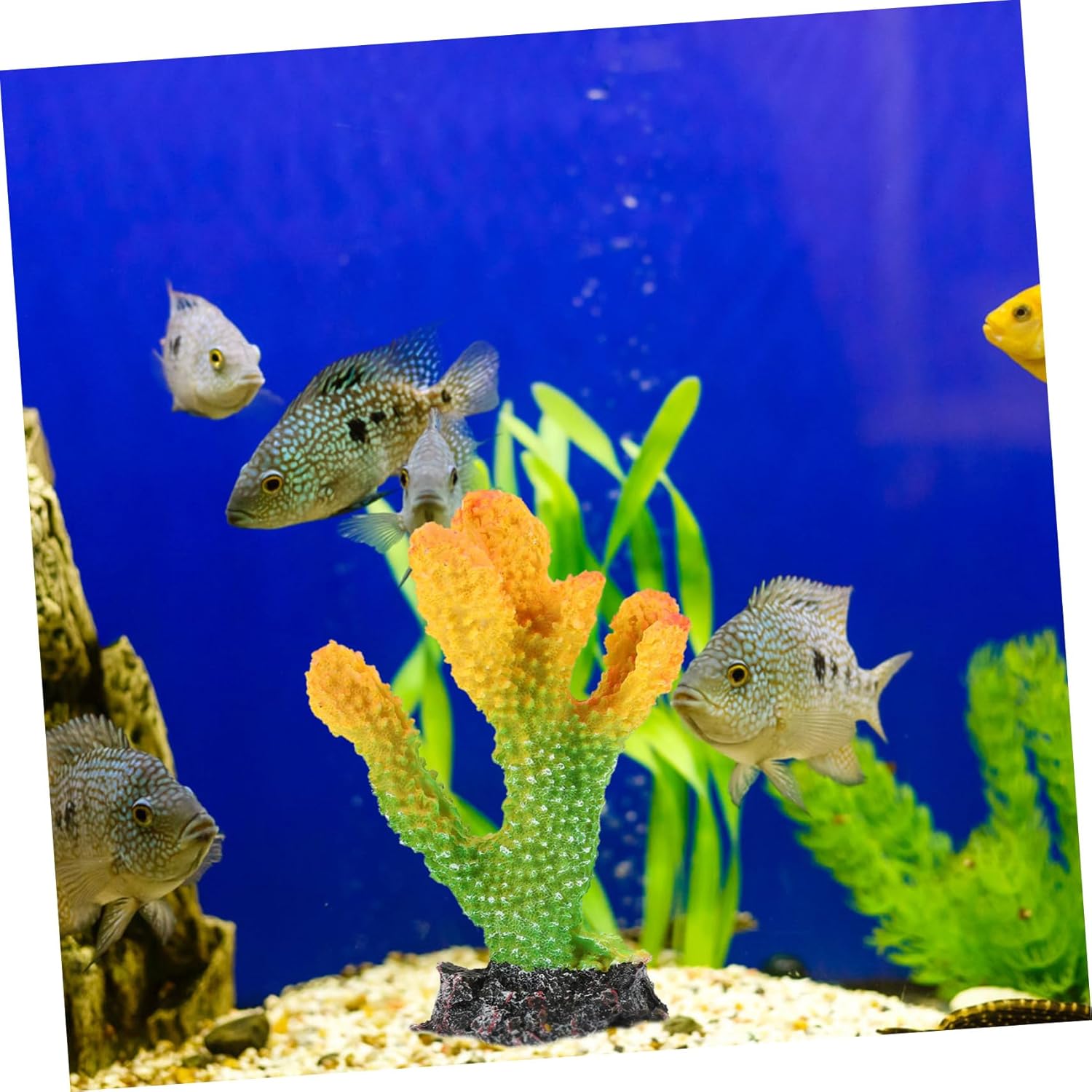 DOITOOL 3pcs Aquarium Ornaments Decor Artificial Coral Ornament Resin Fish Tank Supply The Mediterranean