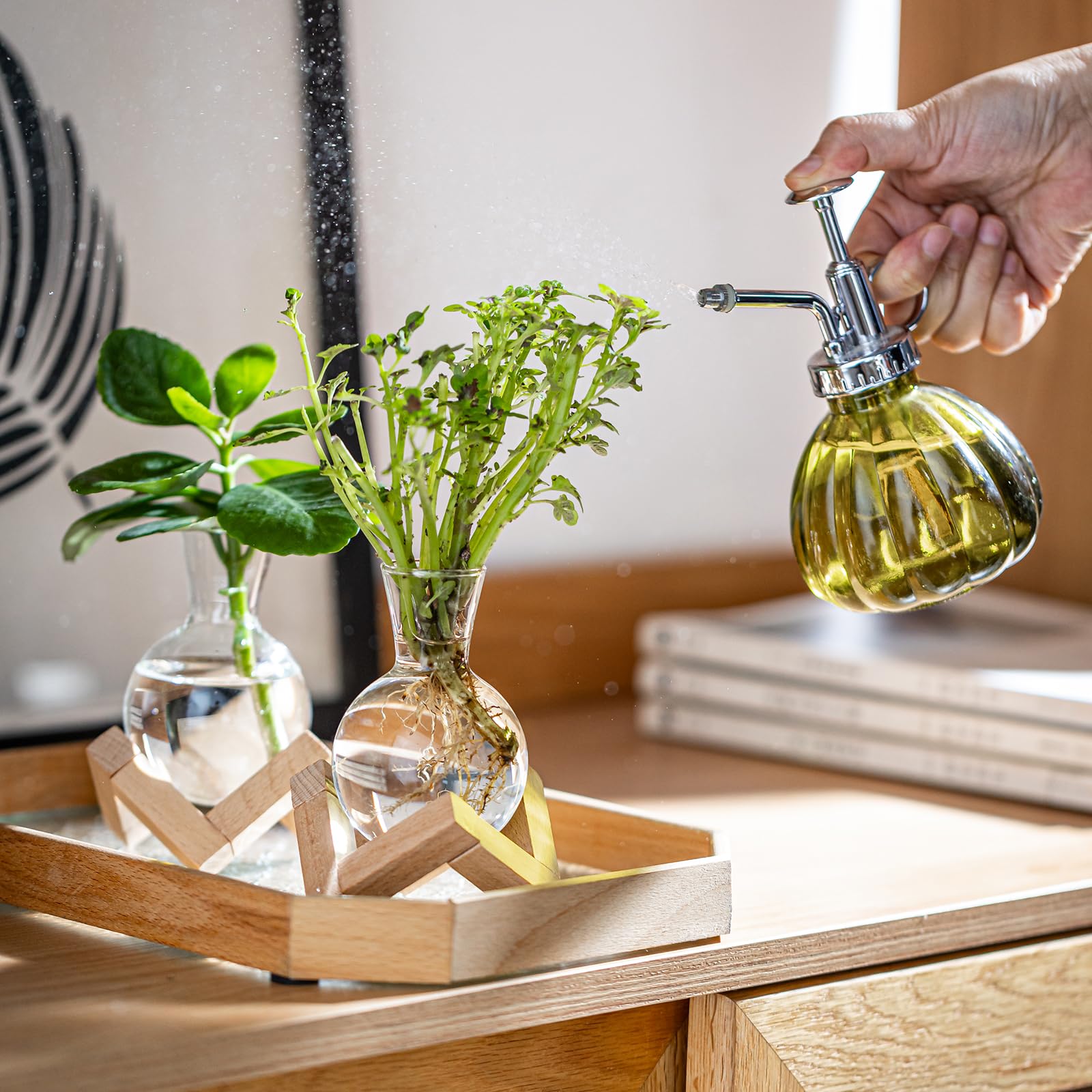 Pflanzenanzuchtstation, Pflanzenterrarium mit Holzständer, Luftpflanzenhalter, Blumenzwiebelvasen, Tischglas-Pflanzgefäß für Hydrokulturen, Heimbüro-Dekoration, Geschenk für Frauen