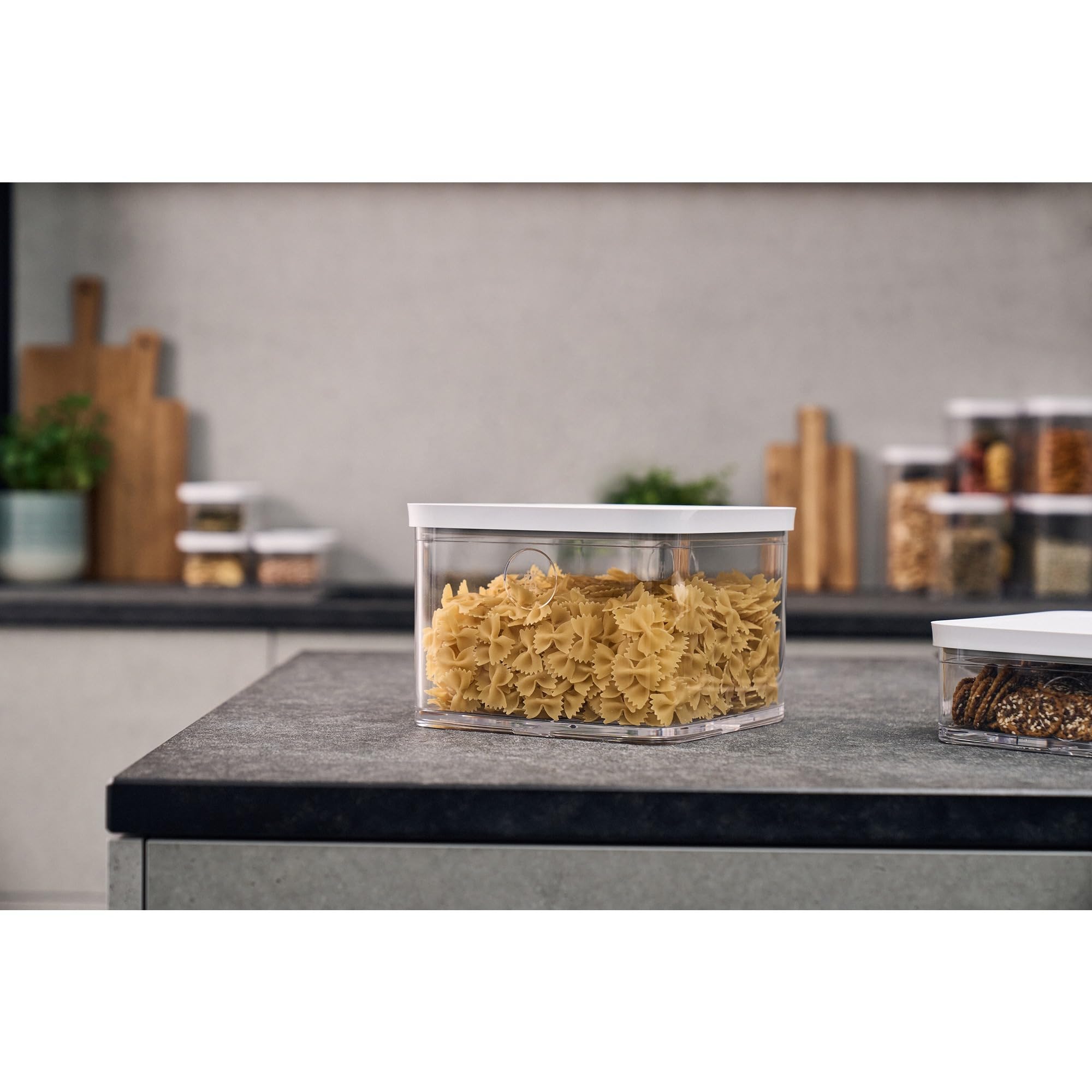 ZWILLING Fresh & Save - Caja de cubo de plástico, contenedor hermético de almacenamiento de alimentos secos, cubo grande alto, contenedor de 2 L, 4.2 cuartos de galón