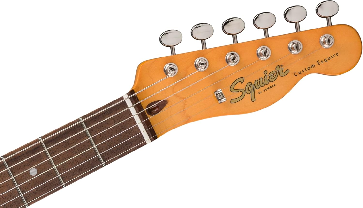 Classic Vibe Custom ESquier, Laurel Fingerboard, Parchment Pickguard, Sherwood Green