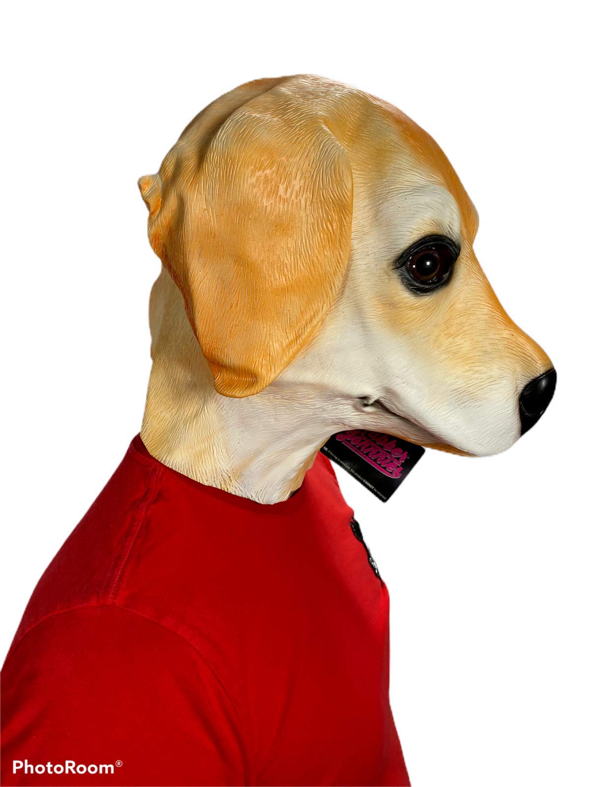 View 4