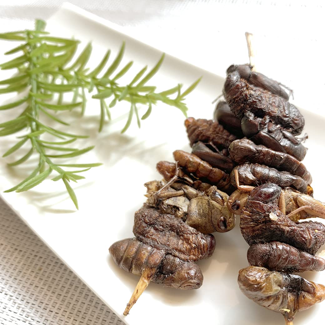 Amazon | bugoom 昆虫食 昆虫ケバブ 食べられる虫シリーズ MIXED BUG