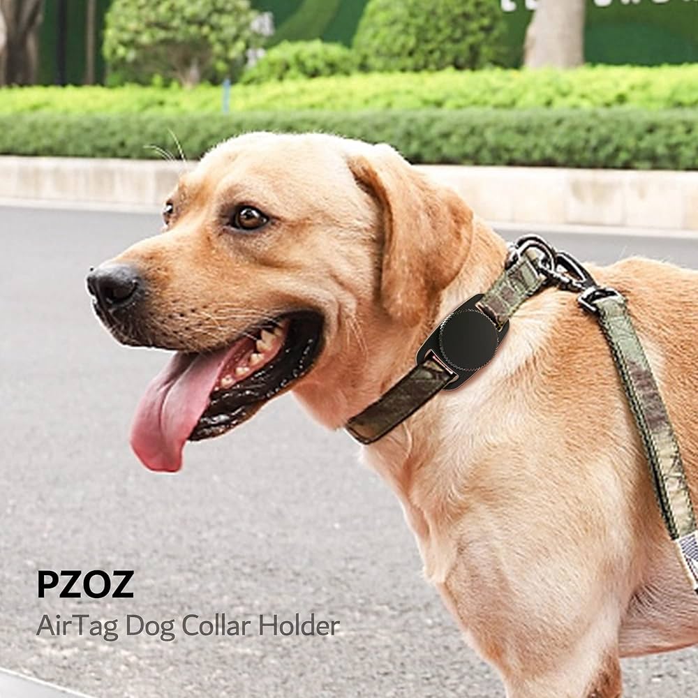Amazon.com: PZOZ Waterproof Case Dog Collar Holder (2 Pack