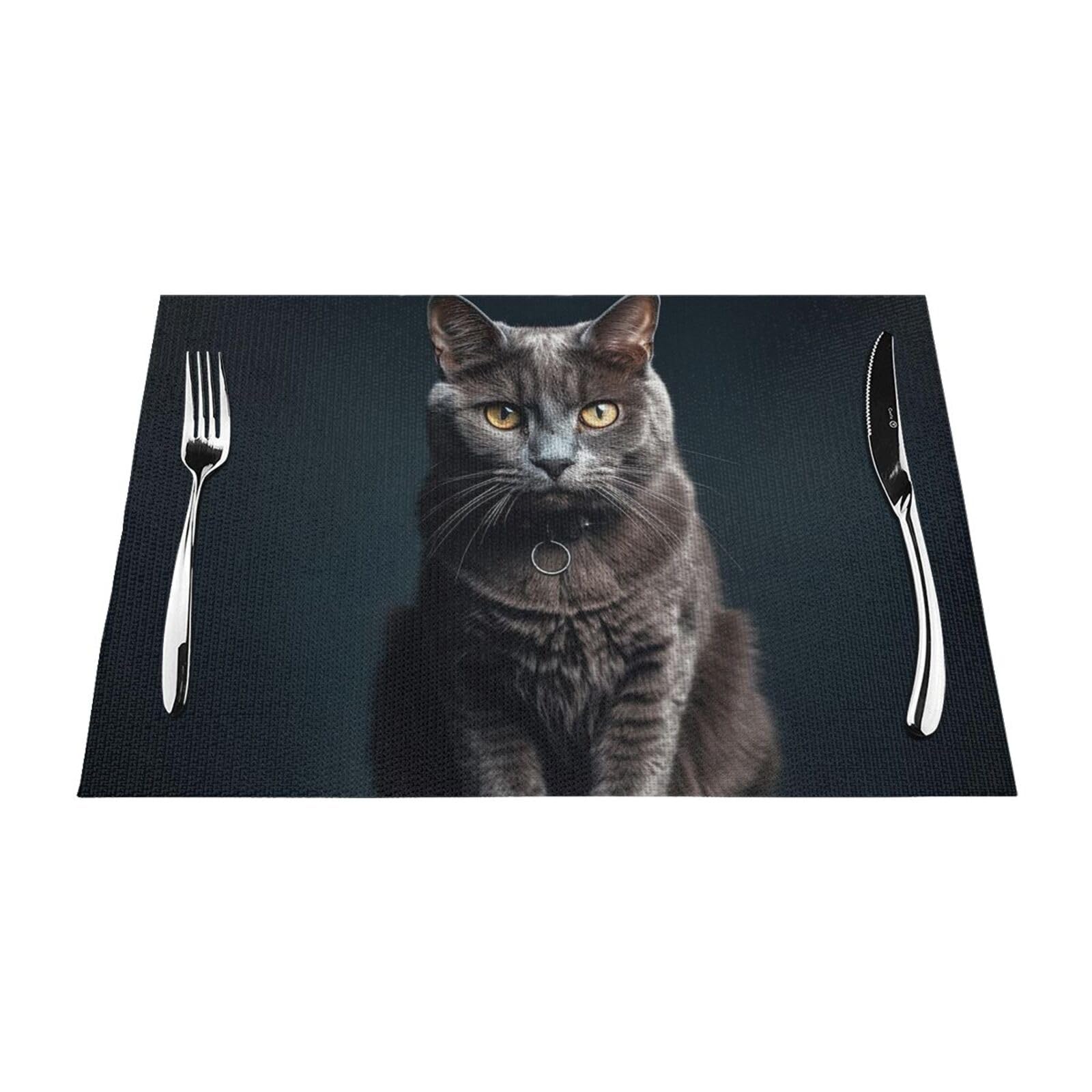 Placemats Set of 1 PC Washable PVC Table Mats Heat Resistant Vinyl Woven Place Mats Cat on Table Placemats Non-Slip Wipeable Placemats for Kitchen Dining Table Decoration 45 x 30 cm