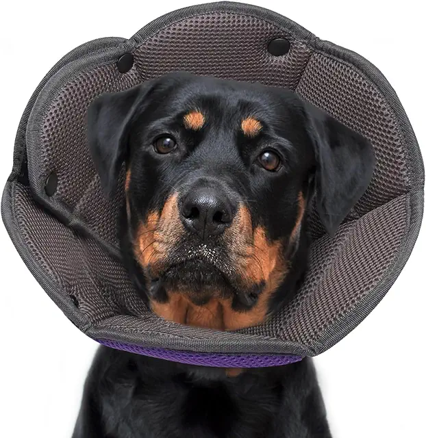 Purple Adjustable Dog Recovery Collar for After Surgery - Kraag voor Honden
