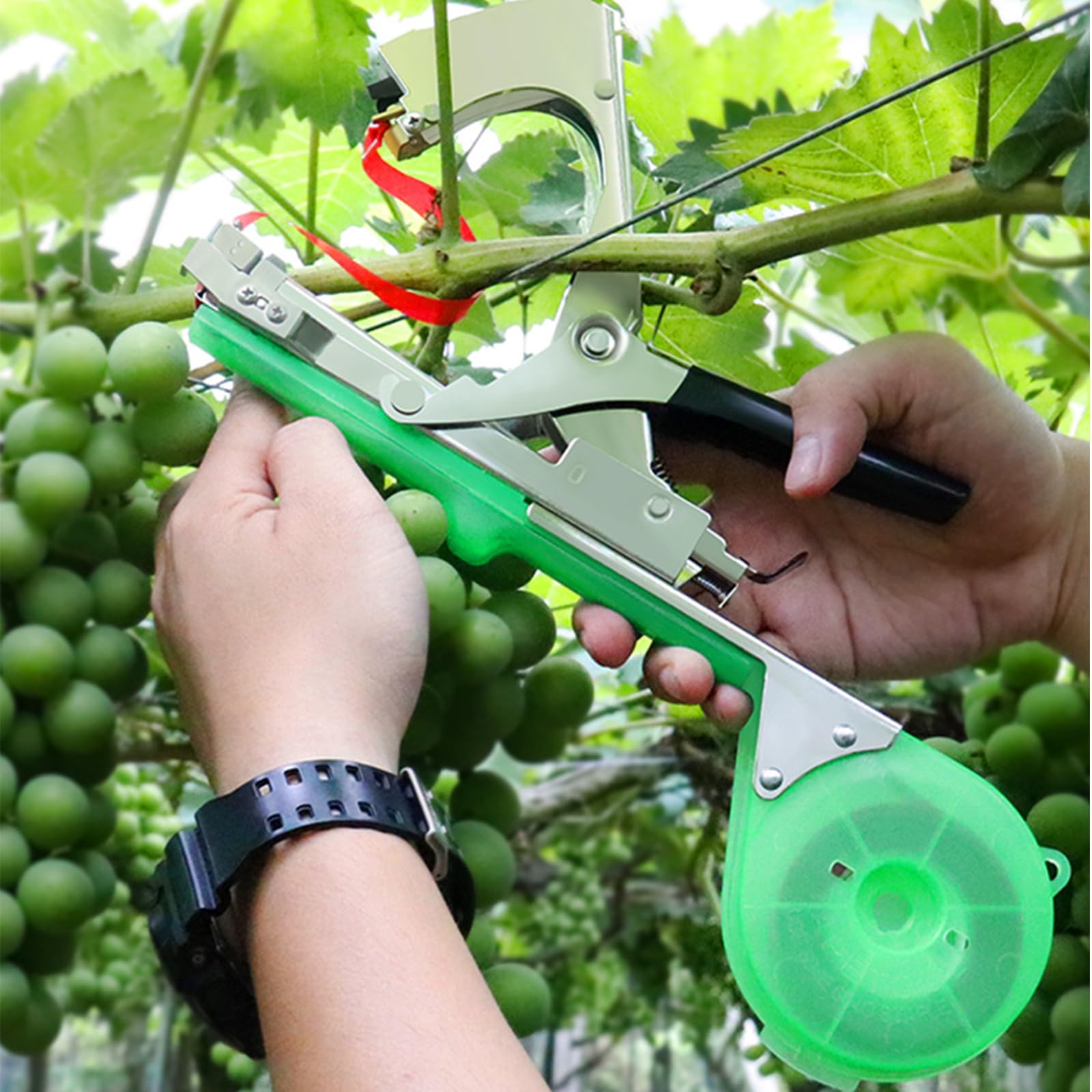 Nastro adesivo per legatrici vegetali, strumento con 20 rotoli di nastro, 1 scatola di graffette, nastri per macchine per legare piante da giardino per potare verdure