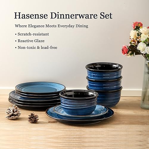 Miniatura 5 de Hasense Juego de platos y cuencos, vajilla de cerámica esmaltada reactiva de 12 piezas, servicio de platos resistentes a las astillas y a los