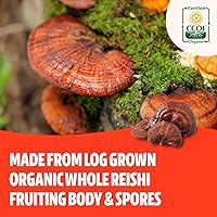 Vista 4 de FreshCap, paquete adaptógeno (cápsulas Reishi y cápsulas Cordyceps)