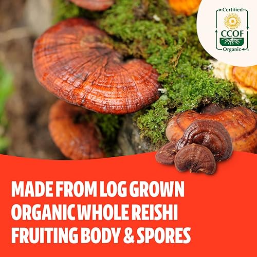 Miniatura 4 de FreshCap, paquete adaptógeno (cápsulas Reishi y cápsulas Cordyceps)