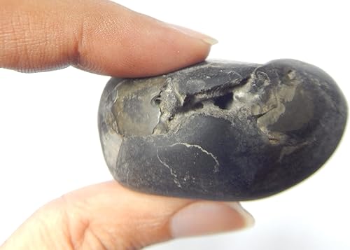 Miniatura 2 de phoenix888 Surya Laxmi Maha Vishnu Buddha Dev Shaligram