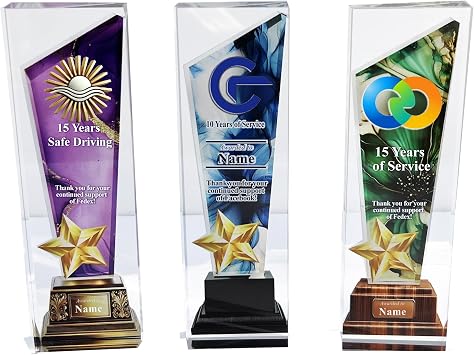 Tina&Co Custom Awards and Trophies | Personalized Create Your Own Trophy for Adults, Employee Recognition, and Achievement Awards- 8"x 2.5"x0.8