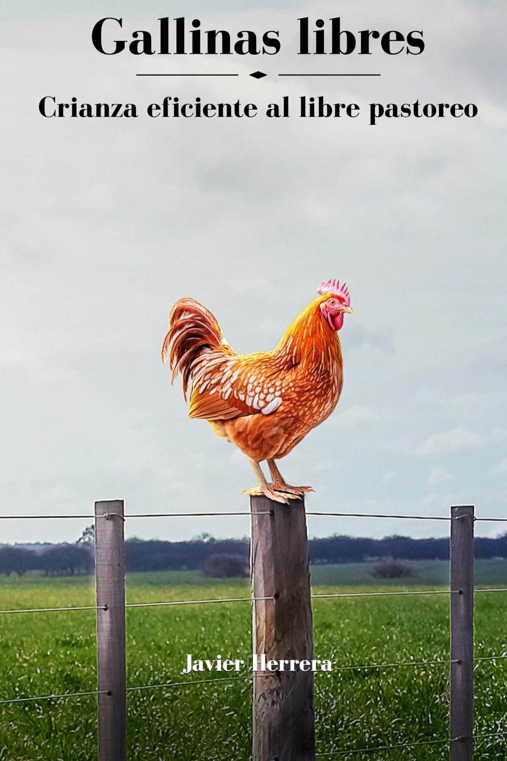 Gallinas Libres: Crianza eficiente al libre pastoreo (Innovacion en la crianza de gallinas al libre pastoreo)