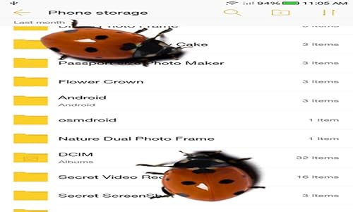 funny Ladybug On Screen Prank - Scary Ladybugs in Phone Joke