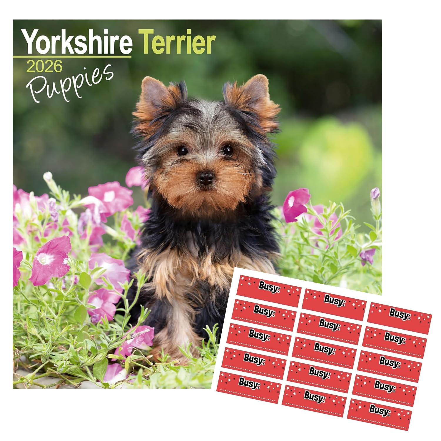 Avonside Yorkshire Terrier Puppies 2027 Square Calendar with Stickers
