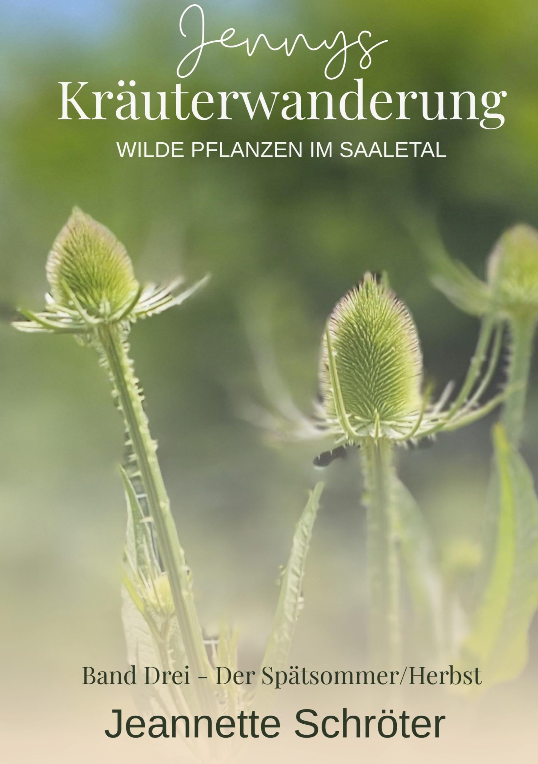 Jennys Kräuterwanderung: Wilde Pflanzen im Saaletal Band 3 Der Spätsommer / Herbst