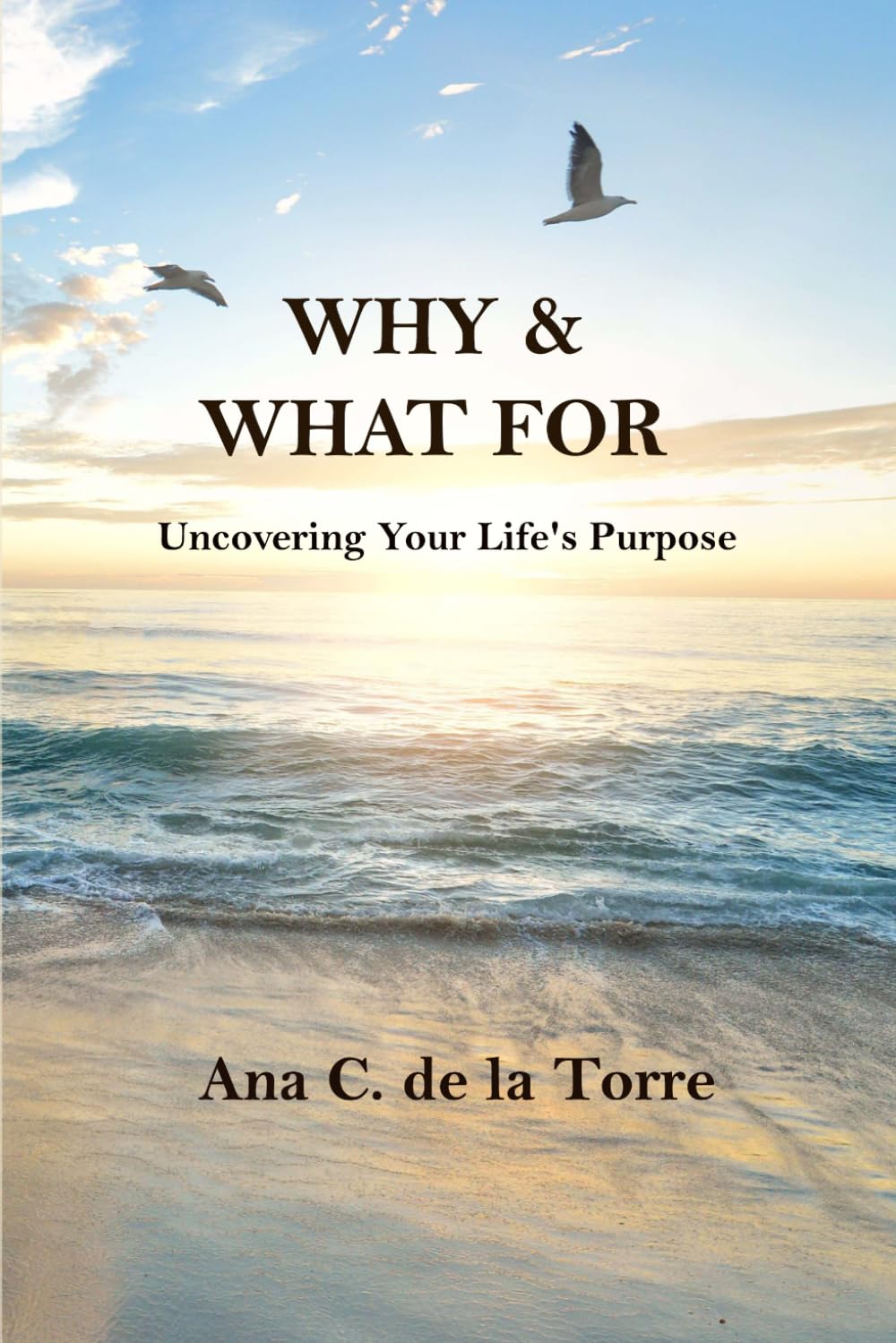 WHY & WHAT FOR: Uncovering Your Life's Purpose