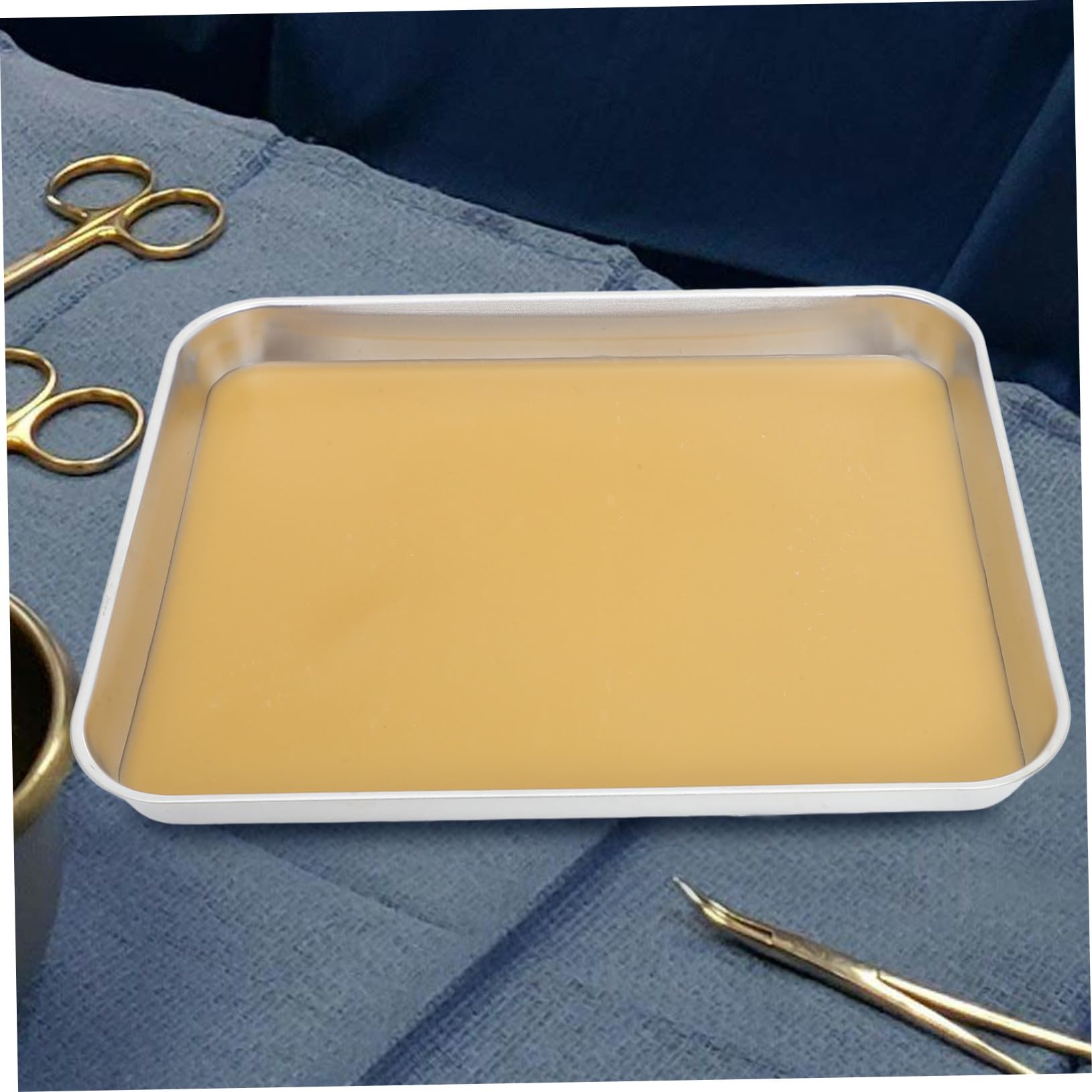 Cabilock Plateau de Dissection Métallique avec Cire pour Laboratoires Outil de Laboratoire Plateau de Dissection pour Spécimens