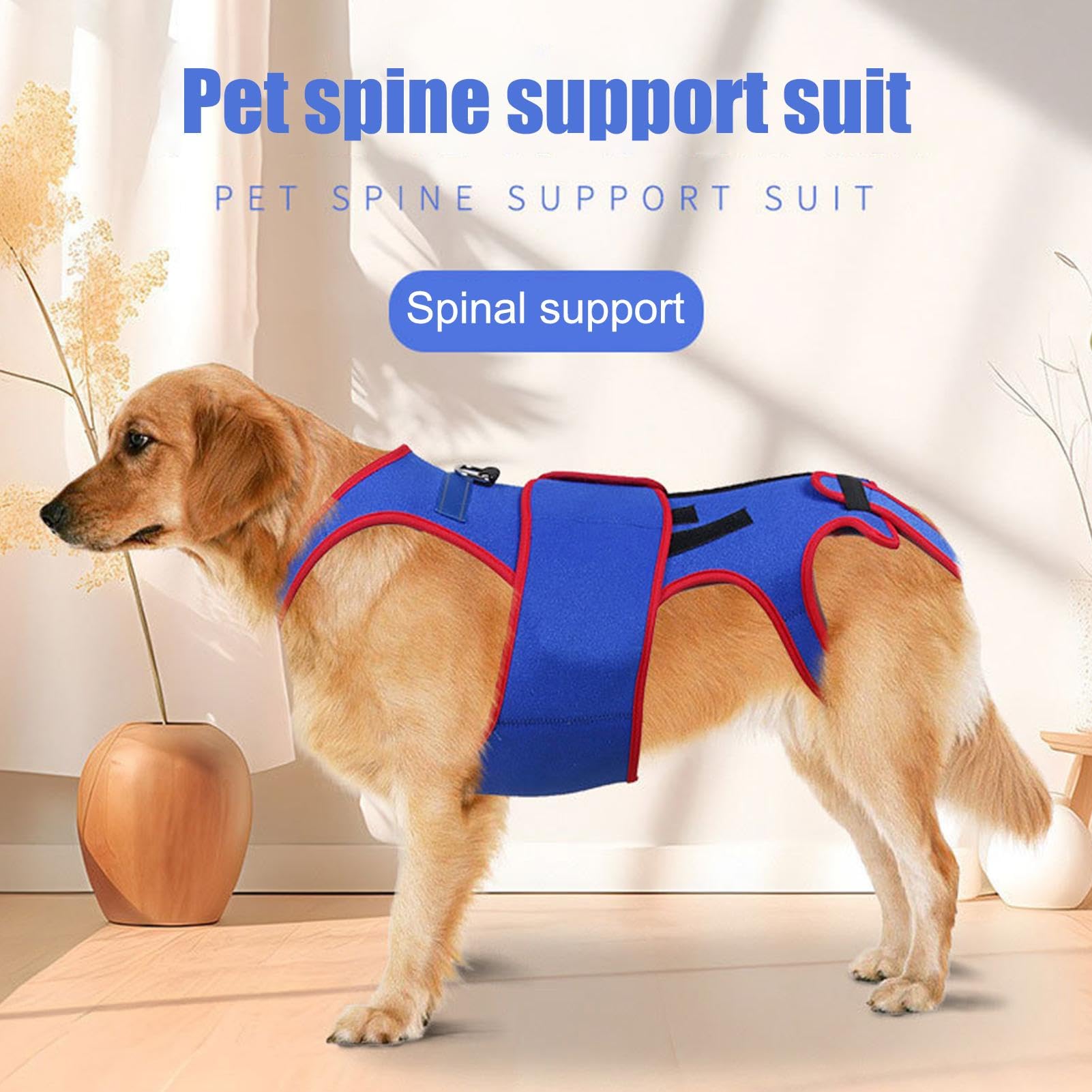 Rückenbandage für Hunde, zur Unterstützung und Rehabilitation von Haustieren, weiche Unterstützung für Beine und Hüften