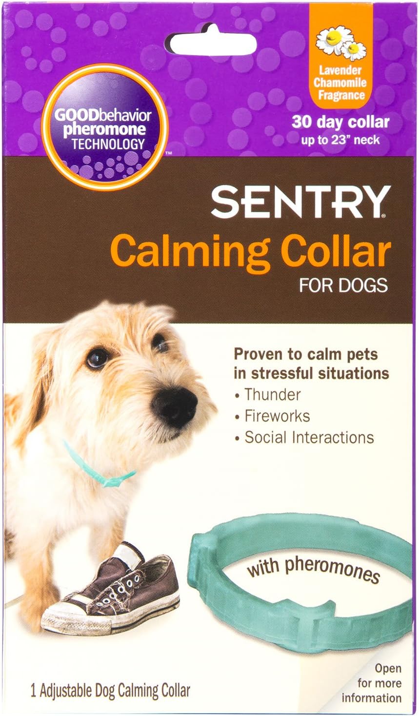 collar sentry