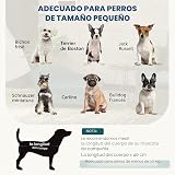 Ver la foto 8