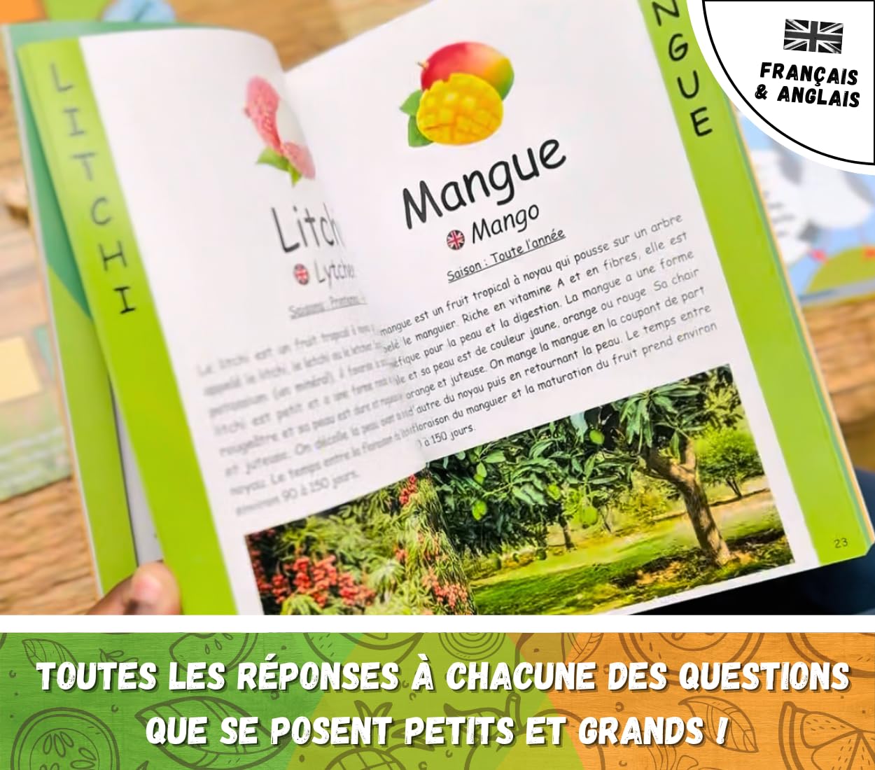 La Cantine des Champions - Jouer et Bien Manger - Jeu éducatif magnétique pour Enfants - Alimentation équilibrée, Organisation des Repas & activité Physique - Maison, école, collectivités - Dès 3 Ans