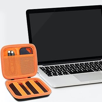 Amazon.com: Aenllosi Hard Travel Case Replacement for SanDisk