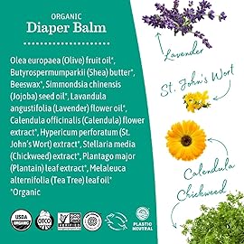 Earth Mama Nipple Butter & Diaper Balm | Nipple Cream & Organic Skincare for Baby | Breastfeeding & Postpartum Essentials Bundle