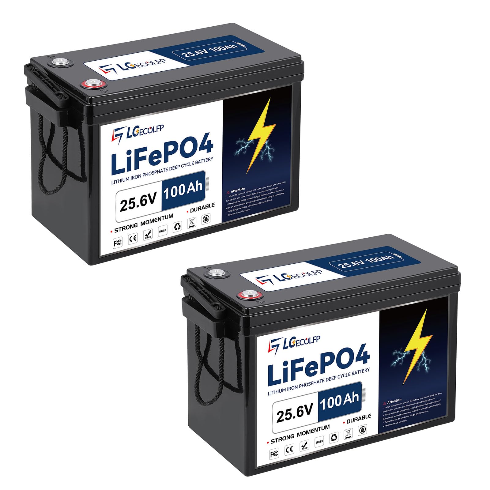 LGECOLFP 24V 100Ah LiFePO4 Battery 2-Pack