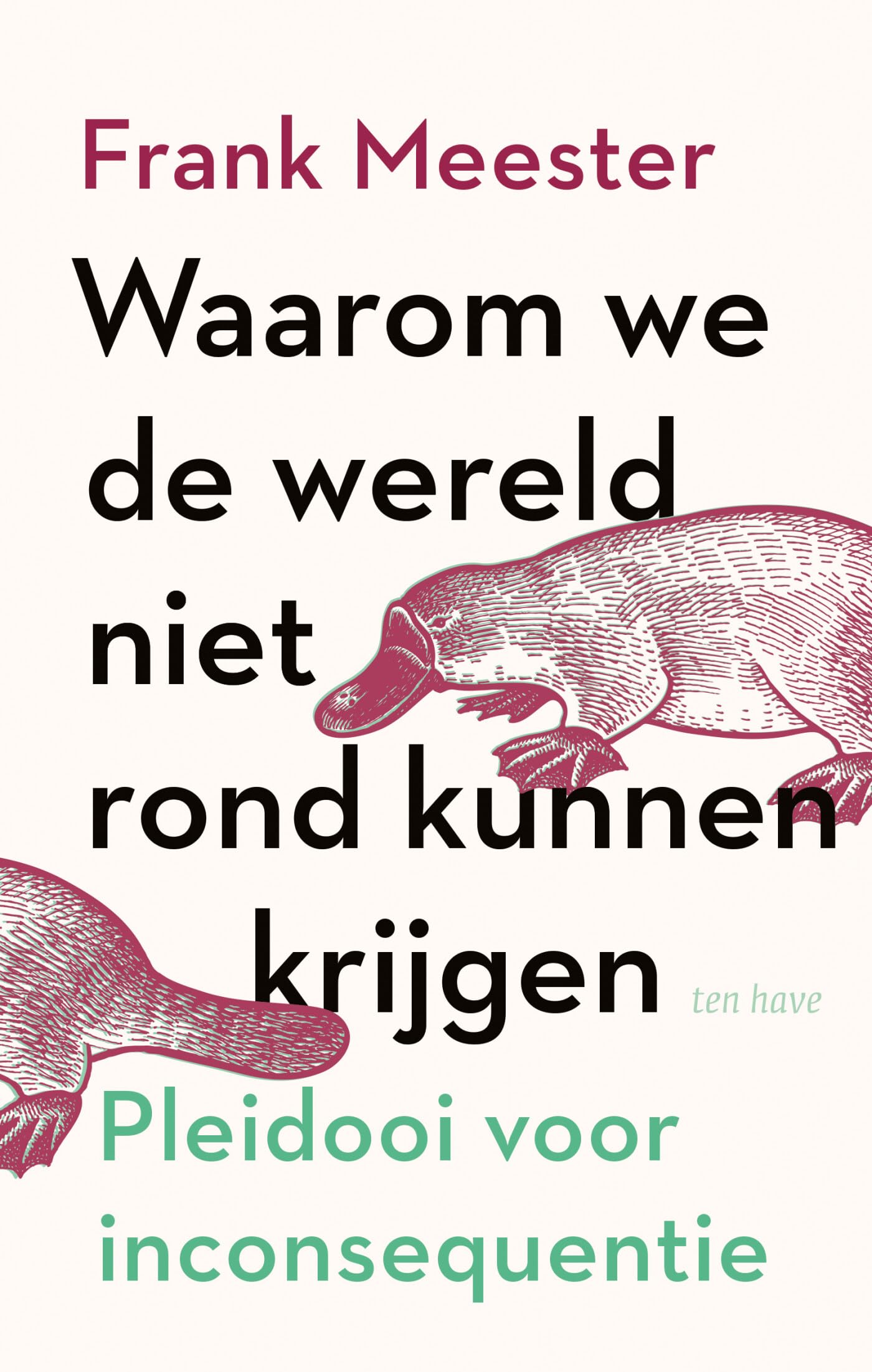 Waarom we de wereld niet rond kunnen krijgen: pleidooi voor inconsequentie