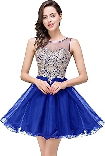 2024 Women's Cocktail Dresses Crystals Applique Short Prom Homecoming Dresses - Buy now