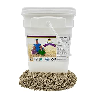Rye Berries, 20lb Bucket with Mylar and Oxygen Absorber, Non GMO, No Glyphosate Residue, Lab Verified Chemical Free, Premium Packaging 25 year shelf life, Kosher, Utahs Own, Great for Baking and Brewing, High Trust / Employee Owned Seller